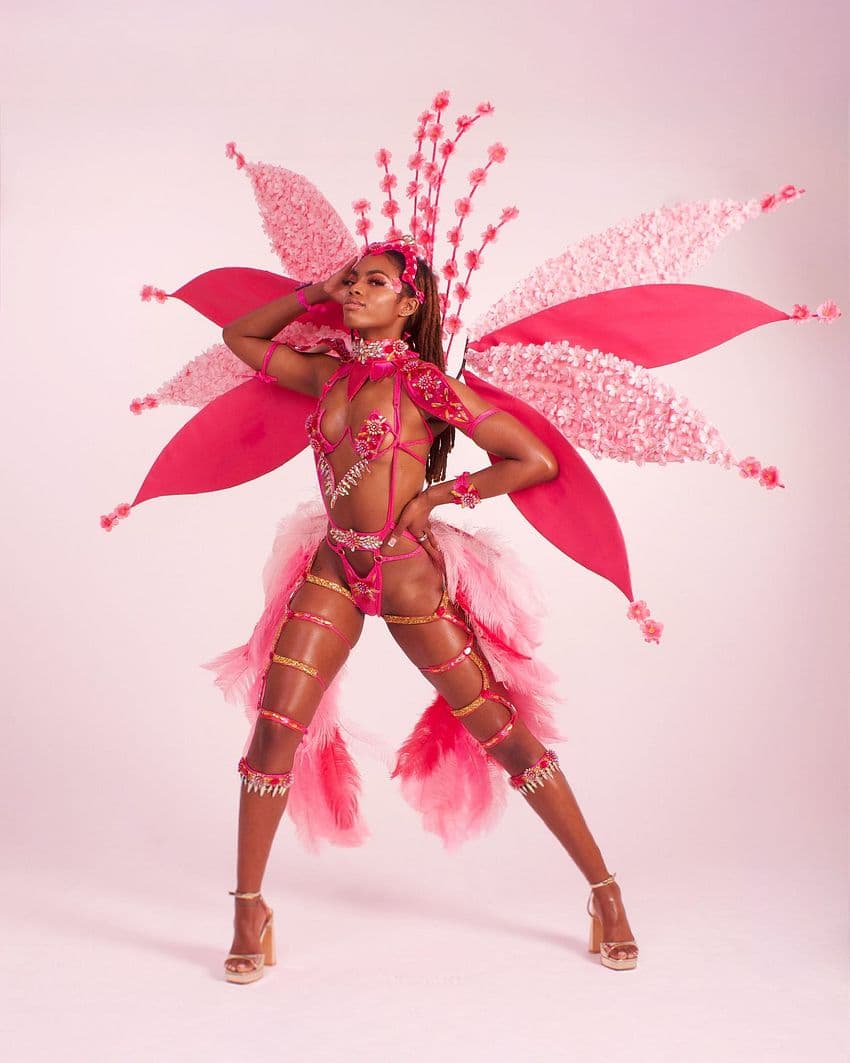 Aglaia Wire Bra Deluxe Bikini Body