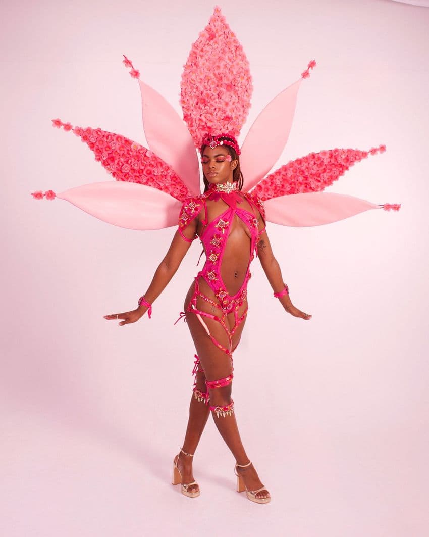 Aglaia Deluxe Monokini