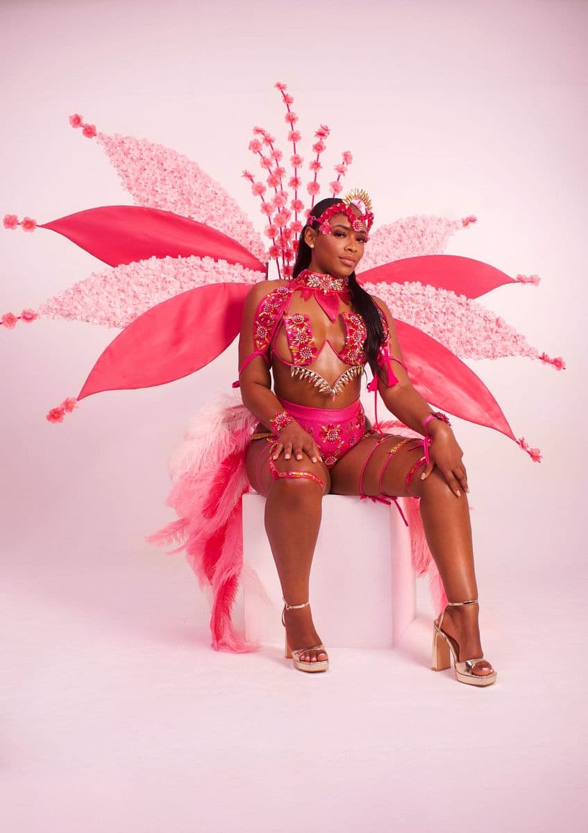 Aglaia Wire Bra Standard Body