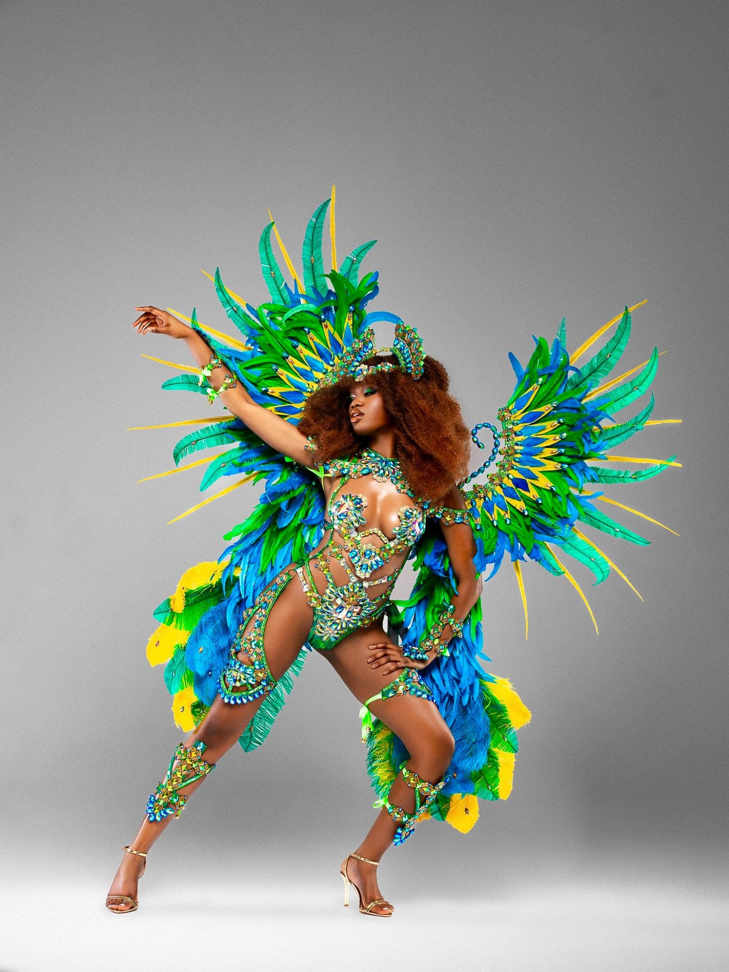 Package image